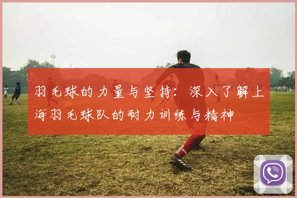 羽毛球的力量与坚持：深入了解上海羽毛球队的耐力训练与精神