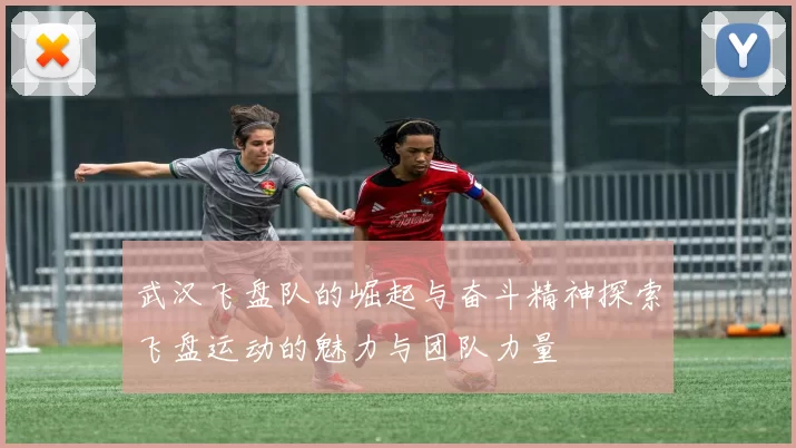 武汉飞盘队的崛起与奋斗精神探索飞盘运动的魅力与团队力量