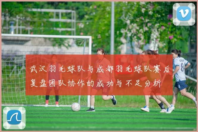 武汉羽毛球队与成都羽毛球队赛后复盘团队协作的成功与不足分析