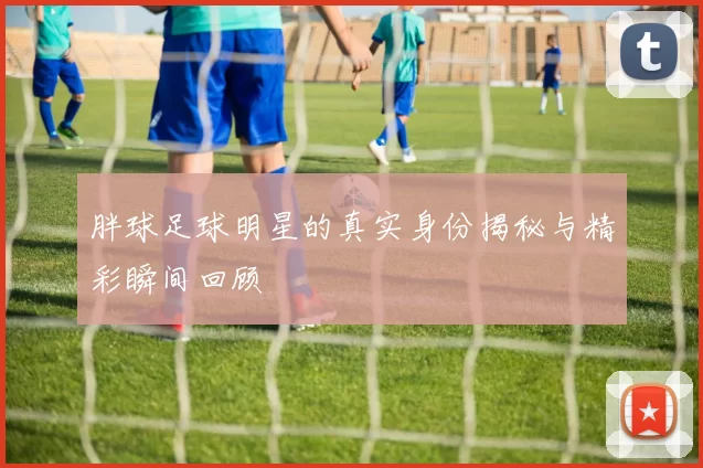 胖球足球明星的真实身份揭秘与精彩瞬间回顾