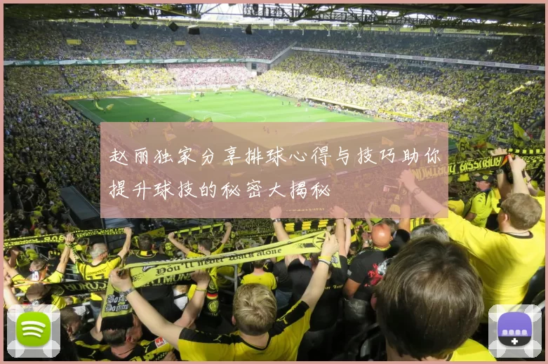 赵丽独家分享排球心得与技巧助你提升球技的秘密大揭秘