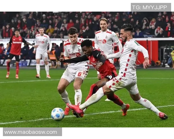 勒沃库森足球俱乐部：历史辉煌与未来展望的完美结合